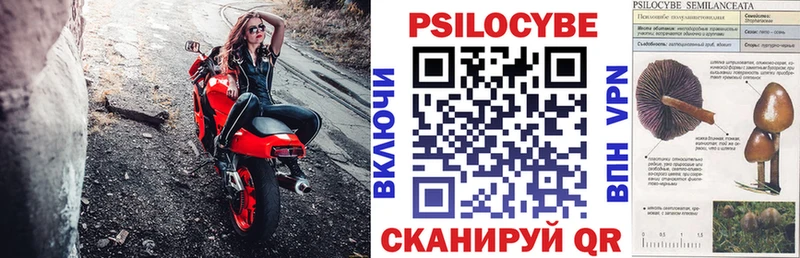 Галлюциногенные грибы мицелий Олонец