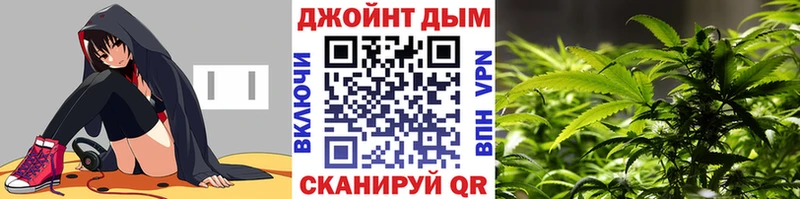как найти Олонец Конопля THC 21%